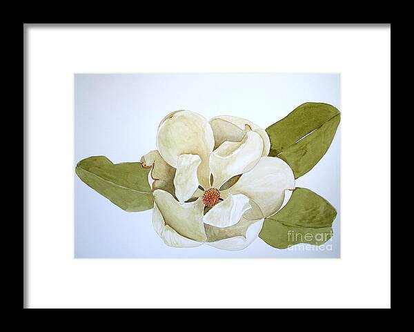Magnolia Watercolor Framed Print featuring the painting Magnolia Highlight by Nancy Kane Chapman