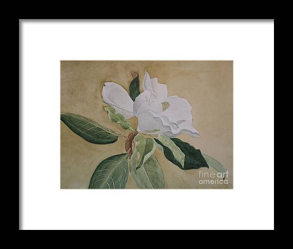 Magnolias Seem To Have Personalities. This One Seems Very Feminine Framed Print featuring the painting Magnolia San Marino by Nancy Kane Chapman