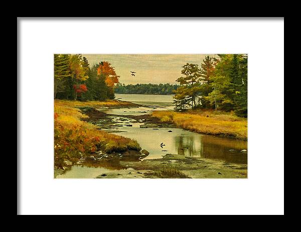 Maine Framed Print featuring the photograph Maine Wetlands by Cathy Kovarik