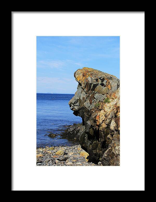 Nature Framed Print featuring the photograph Majestic by Becca Wilcox