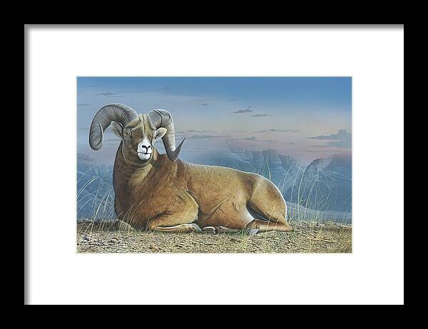 Bighorn Sheep Framed Print featuring the painting Majestic by Mike Brown