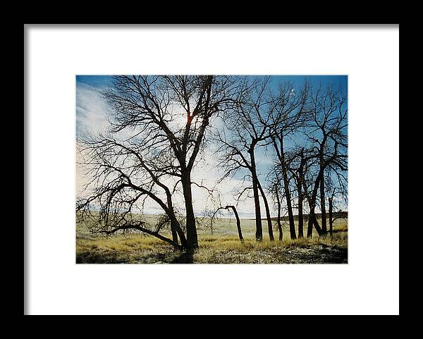 Trees Framed Print featuring the photograph Make a Stand by Ric Bascobert