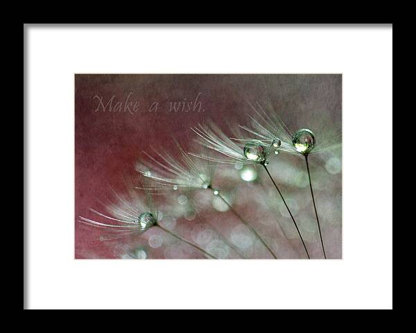 Dandelion Seeds Framed Print featuring the photograph Make A Wish by Angie Vogel