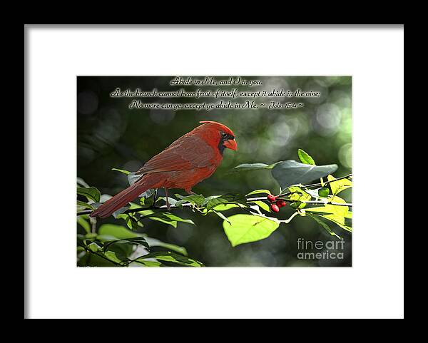 Nature Framed Print featuring the photograph Male Cardinal on Dogwood branch with verse by Debbie Portwood