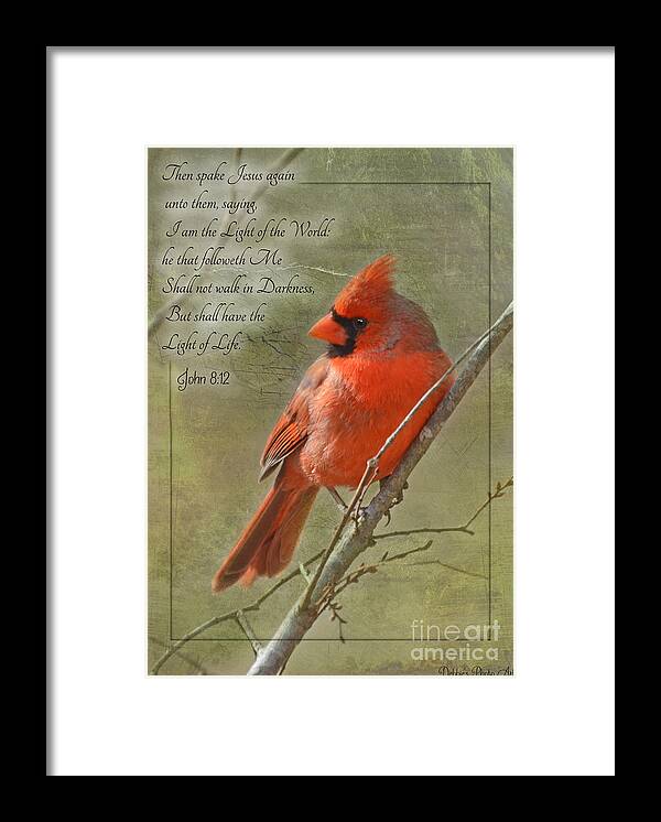 Nature Framed Print featuring the photograph Male Cardinal on twigs with Bible Verse by Debbie Portwood