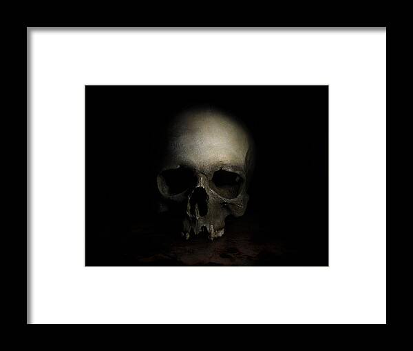 Human Framed Print featuring the photograph Male skull by Jaroslaw Blaminsky