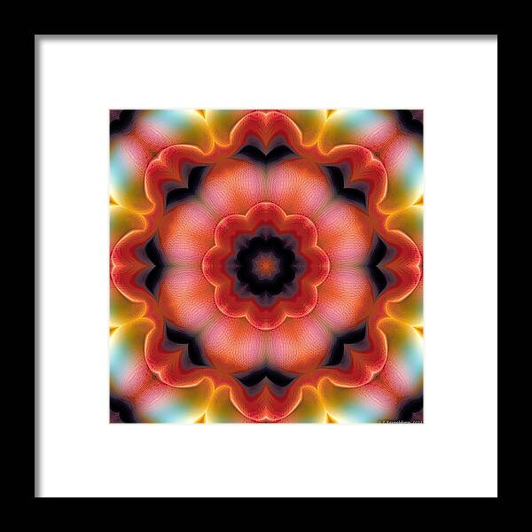 Relaxing Pattern Framed Print featuring the digital art Mandala 91 by Terry Reynoldson