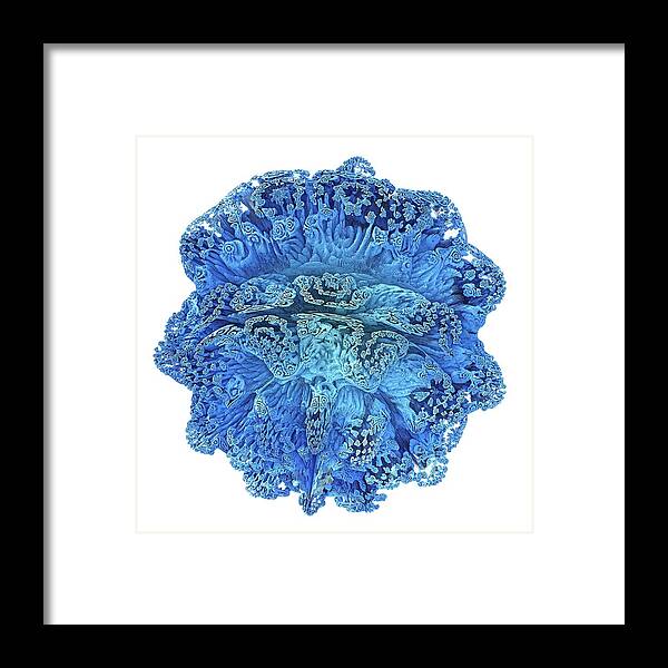 3 Dimensional Framed Print featuring the photograph Mandelbulb Fractal by Alfred Pasieka