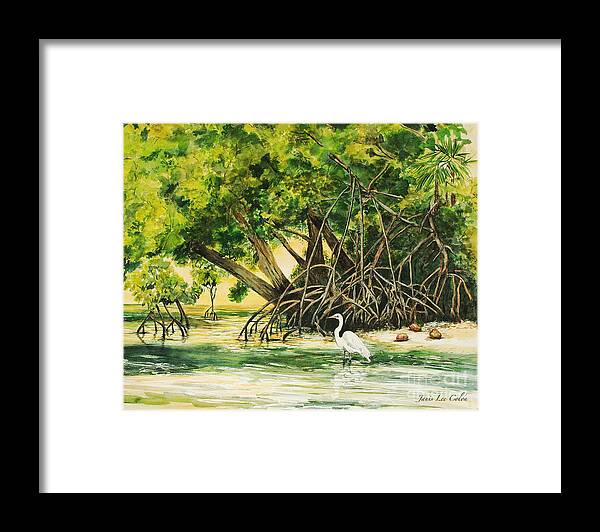 Everglades Framed Print featuring the painting Mangrove Morning by Janis Lee Colon