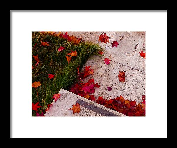 Red Maple Framed Print featuring the photograph Maple Leaf Fall 3 - The Getty by Robert J Sadler
