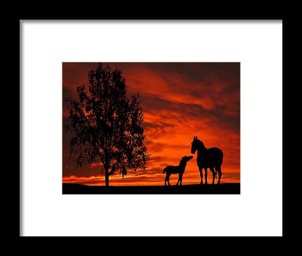 Mare Framed Print featuring the photograph Mare and Foal Sunset Silhouette Series by David Dehner