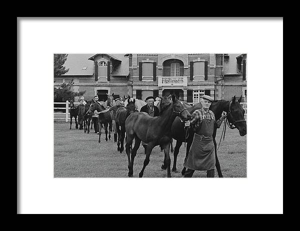 Animal Framed Print featuring the photograph Mares And Foals At The Farm Of Marie-helene De by Henry Clarke