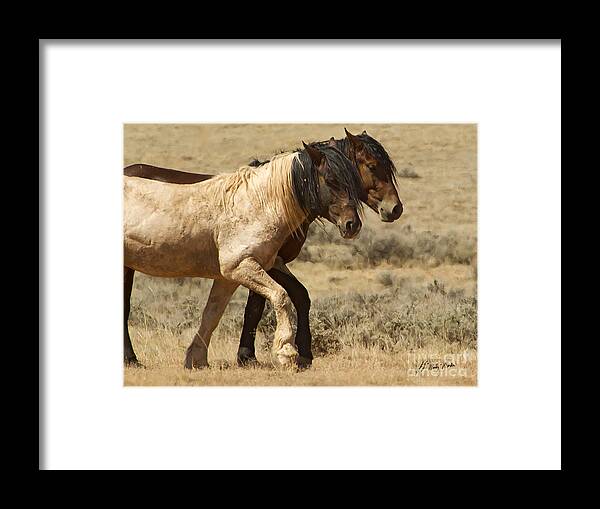 Horse Framed Print featuring the photograph Mares In Step-Signed-#9139 by J L Woody Wooden