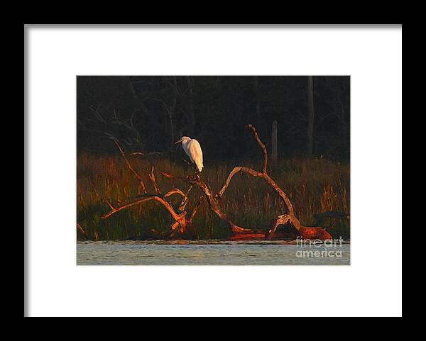Birds Framed Print featuring the digital art Marsh Bird Sunrise by Deborah Smith