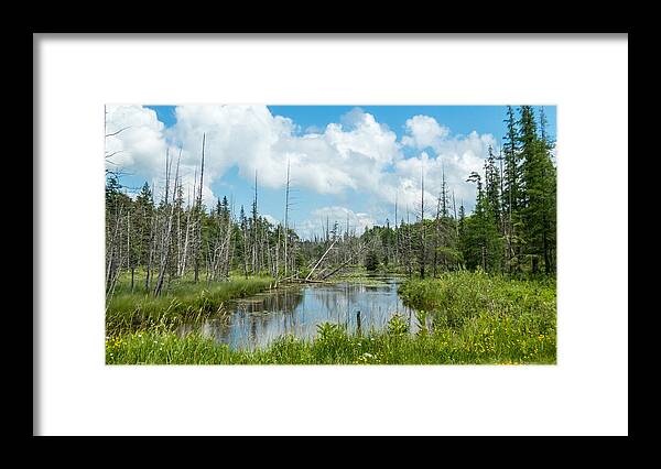Landscape Framed Print featuring the photograph Marsh Scene by Richard Kitchen