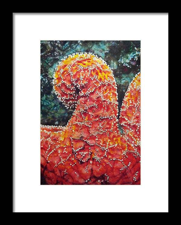 Starfish Framed Print featuring the painting Marvel of Nature by Cara Frafjord