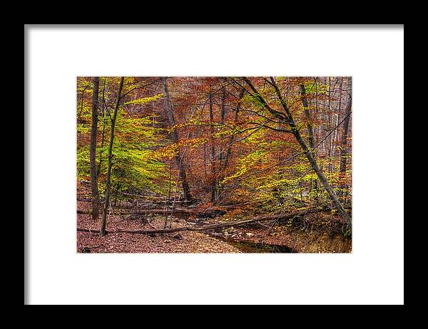 Maryland Framed Print featuring the photograph Maryland Country Roads - Autumn Colorfest No. 8 - Catoctin Mountains Frederick County MD by Michael Mazaika