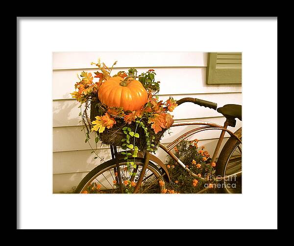 Rusty Bicycle Framed Print featuring the photograph Mary's Bike by Nancy Patterson