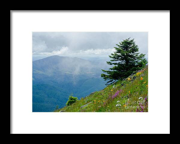 Corvallis Framed Print featuring the photograph Mary's Peak Viewpoint by Nick Boren