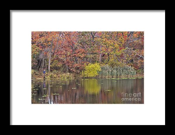 Autumn Framed Print featuring the photograph Massapequa Preserve by Scott Evers
