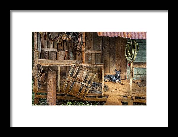 Dog Framed Print featuring the photograph Master's Home by Nancy Strahinic