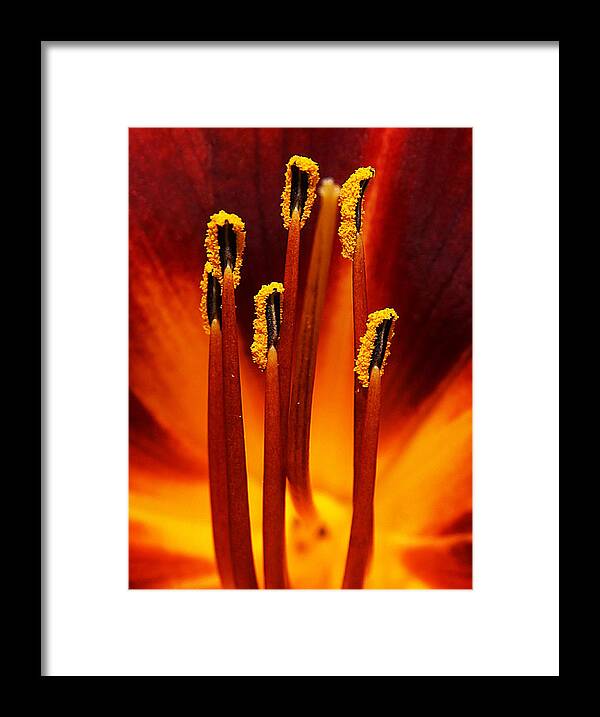Match Flame - Nigel Watts Framed Print featuring the photograph Match Flame by Nigel Watts