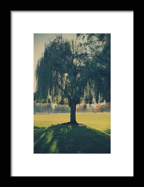 Trees Framed Print featuring the photograph Maybe We'll Find It Someday by Laurie Search