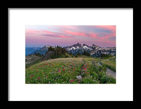 Mountains Framed Print featuring the photograph Mazama Ridge Wildflowers by Michael Russell