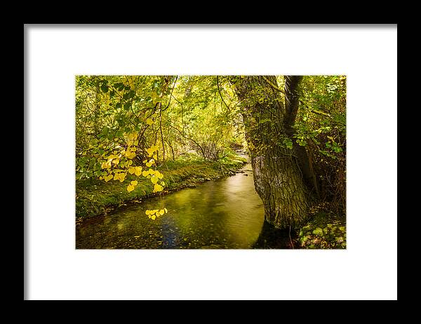 Autumn Framed Print featuring the photograph McGee Creek Fall Colors by Alexander Kunz