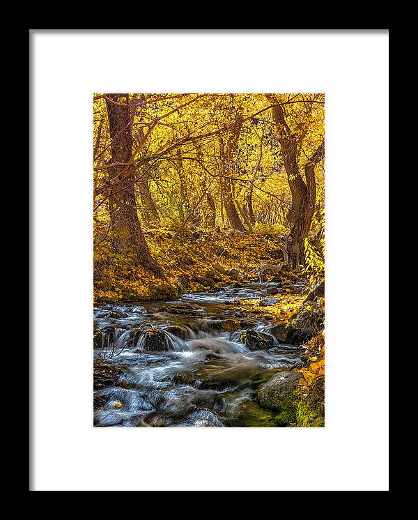 Mcgee Creek Framed Print featuring the photograph McGee Creek by Tassanee Angiolillo
