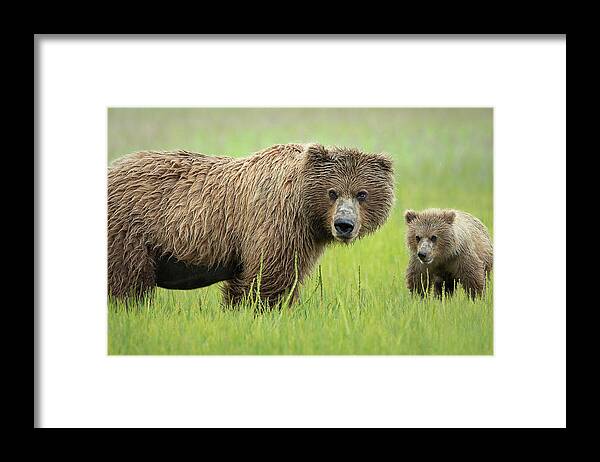 Alaska Framed Print featuring the photograph Me And Ma by Renee Doyle