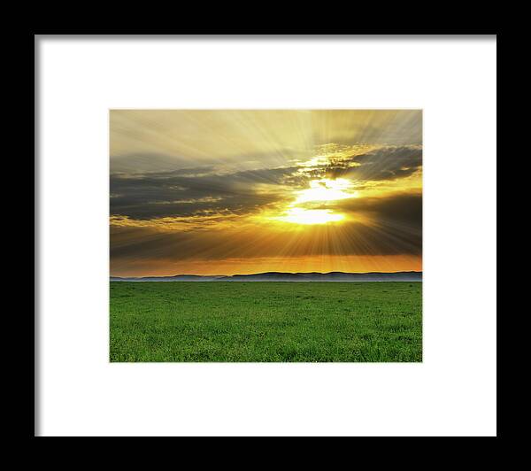 Scenics Framed Print featuring the photograph Meadow In The Morning by Raimund Linke