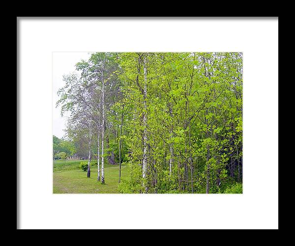 North Carolina Framed Print featuring the photograph Meadows Edge by Bill TALICH