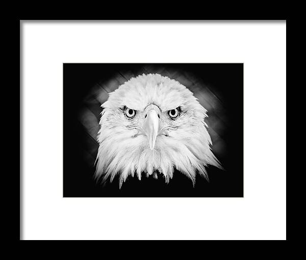 Eagle Framed Print featuring the photograph Mean Mug by Athena Mckinzie