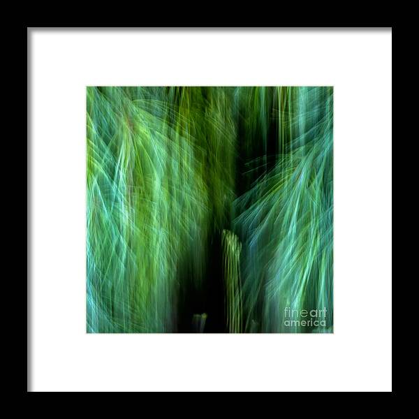 Joanne Bartone Photographer Framed Print featuring the photograph Meditations on Movement in Nature by Joanne Bartone