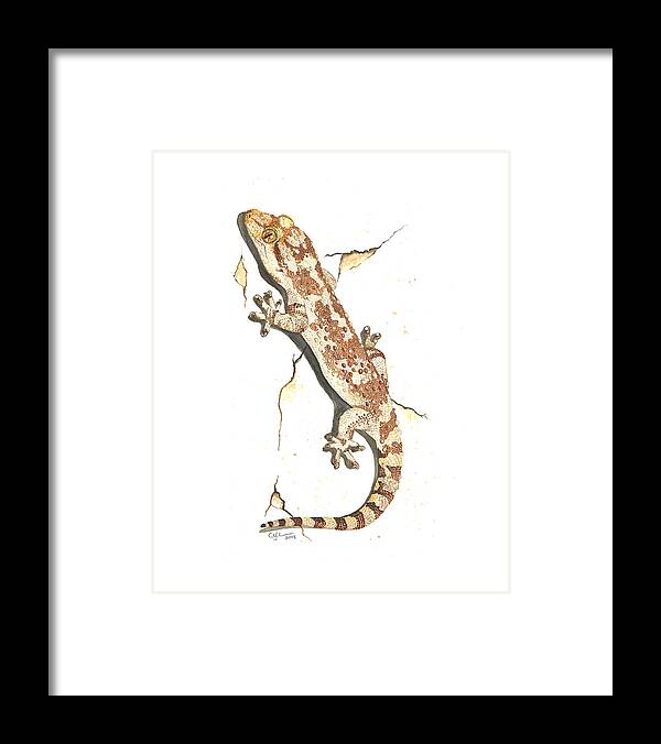 House Gecko Framed Print featuring the painting Mediterranean house gecko by Cindy Hitchcock