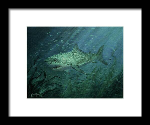 Shark Framed Print featuring the painting Megadolon Shark by Tom Shropshire