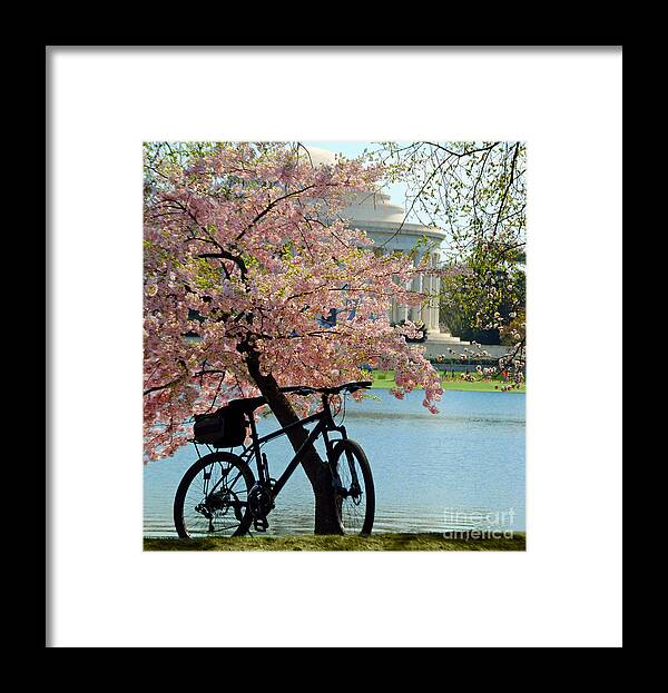 Cherry Framed Print featuring the photograph Memorial Bicycle by Jost Houk