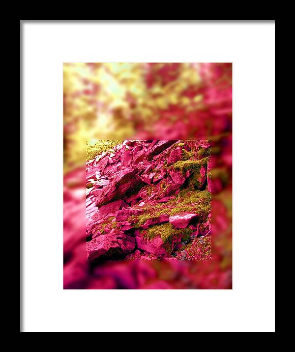 Slate Framed Print featuring the photograph Memory Fails Me by Laureen Murtha Menzl