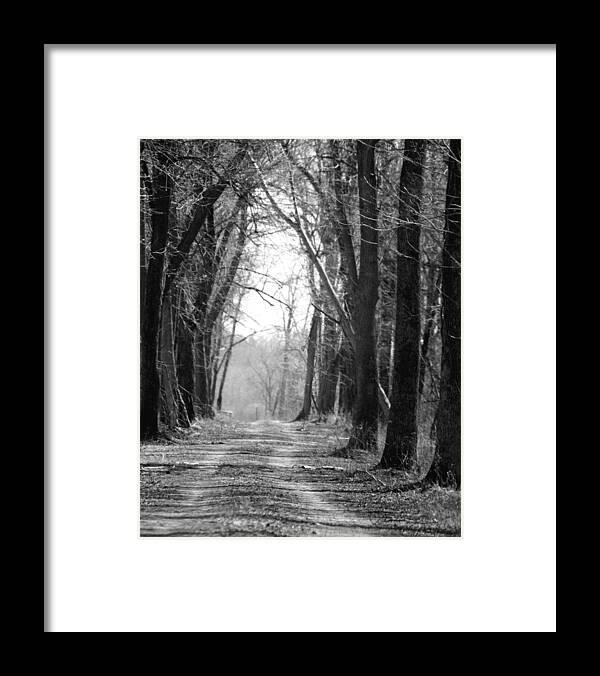 Dirt Road Framed Print featuring the photograph Mentha Mint Plantation  by Penny Hunt