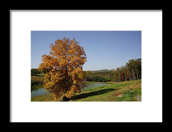 Red Framed Print featuring the photograph Mercier Orchards by Rafael Salazar