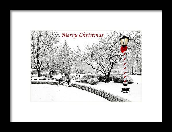 Winter Framed Print featuring the photograph Merry Christmas by Patty Colabuono