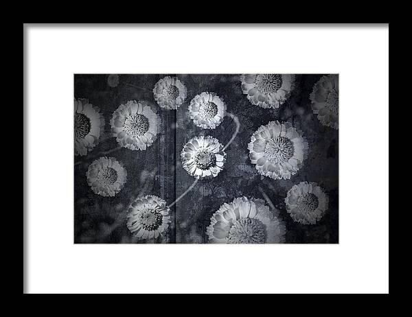Flower Framed Print featuring the photograph Metro Modern by Mark Ross