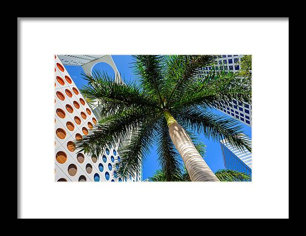 Architecture Framed Print featuring the photograph Miami Palm by Raul Rodriguez