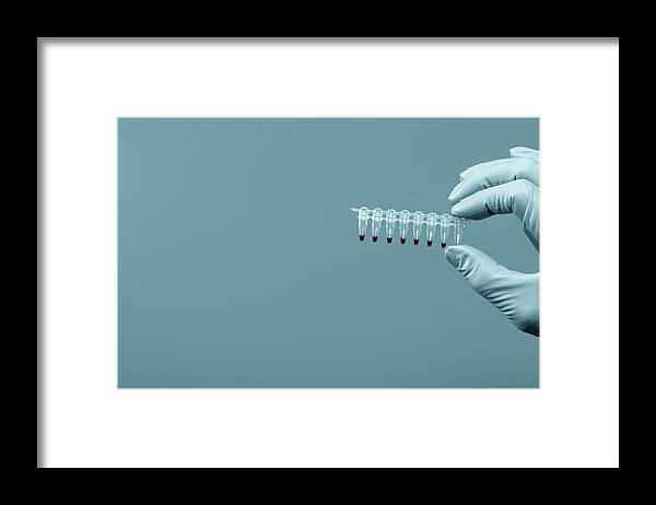 Background People Framed Print featuring the photograph Microtubes With Blood Samples by Wladimir Bulgar