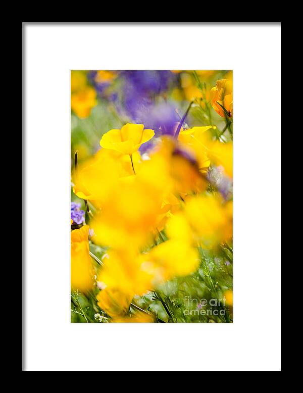 Flower Framed Print featuring the photograph Middle Of The Crowd by Tamara Becker