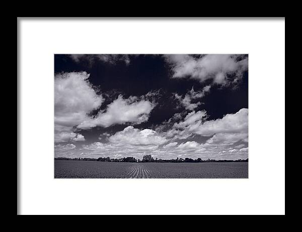 Cloud Framed Print featuring the photograph Midwest Corn Field BW by Steve Gadomski