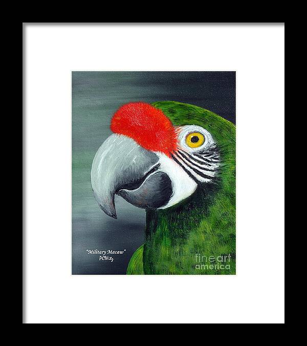Military Macaw Framed Print featuring the photograph Military Macaw by Patrick Witz