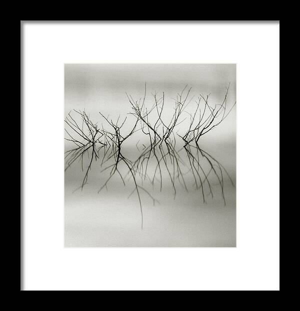 Abstract Framed Print featuring the photograph Minimalism by Amarildo Correa