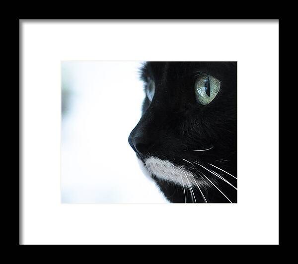 B&w Framed Print featuring the photograph Minnie Mesmerized by Ronda Broatch